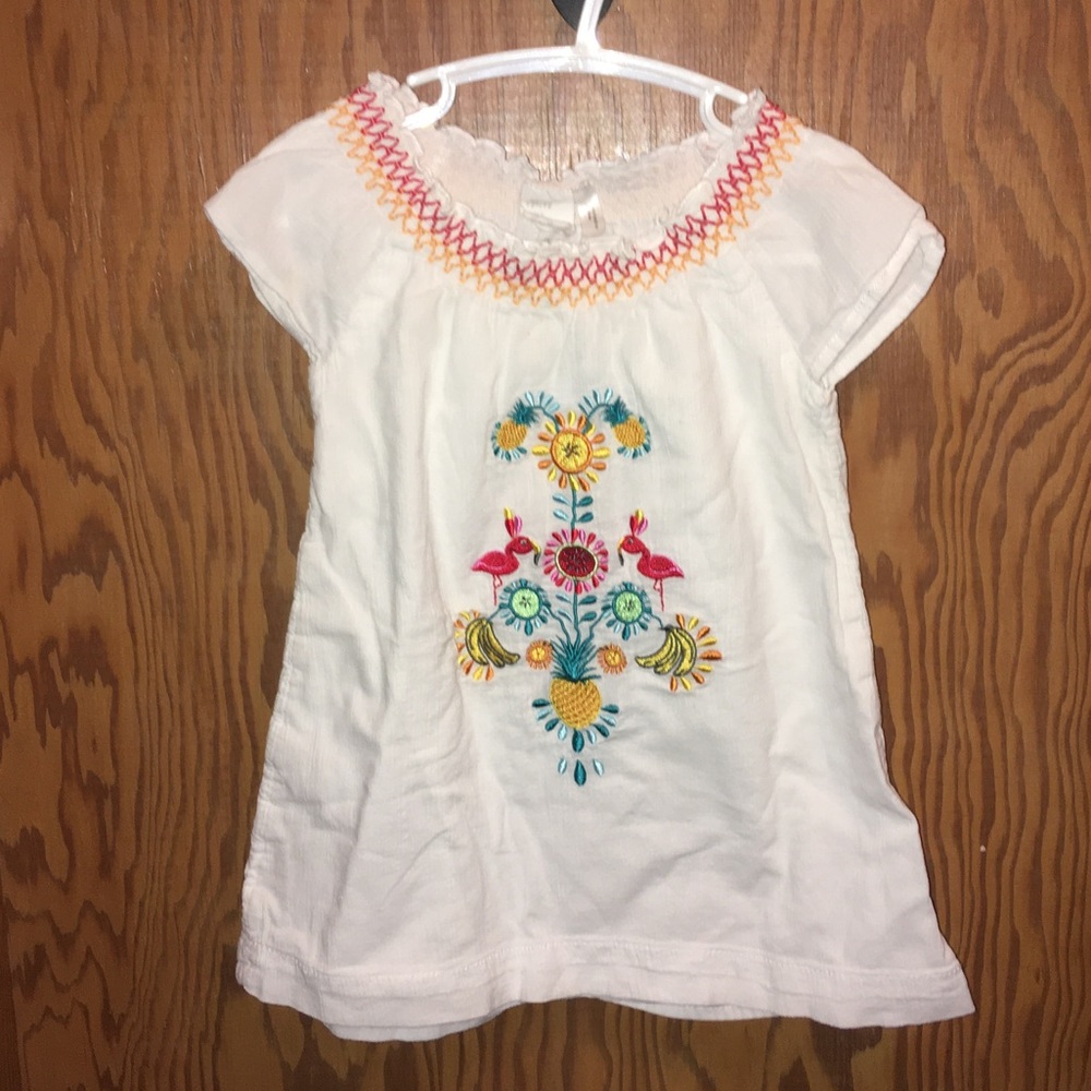 Beautiful Embroidered Toddler Dress by H&M